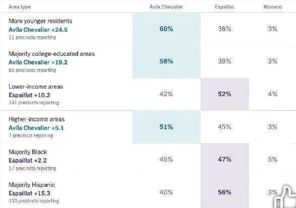 Vote demographics: Chevalier won younger residents and college-educated areas by huge margins