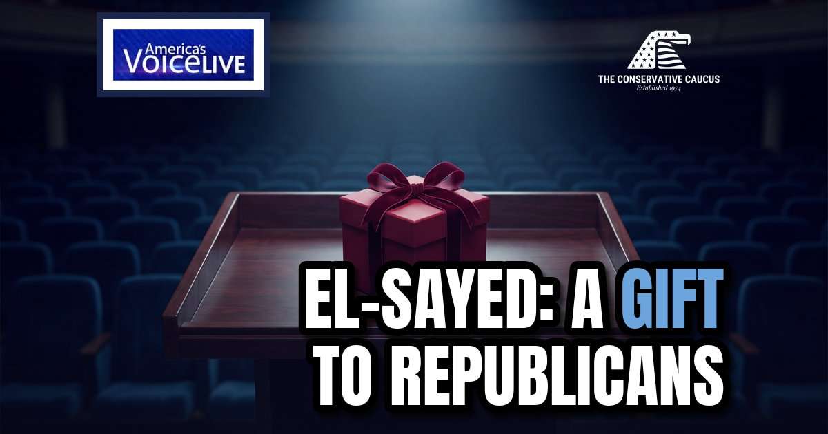 Pfaff Says Abdul El-Sayed Was a Bad Michigan Senate Candidate